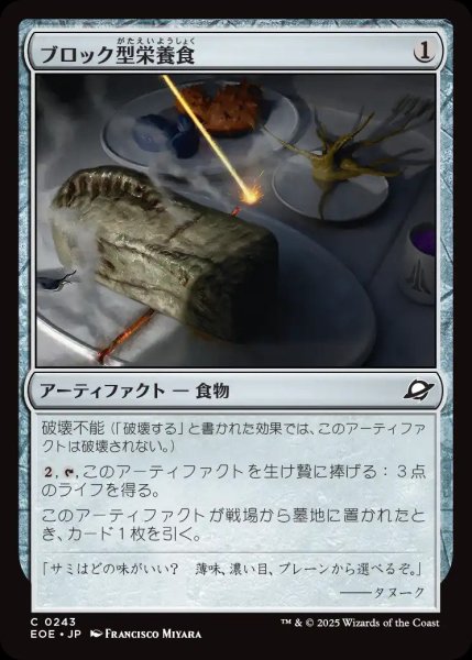 画像1: (予約)ブロック型栄養食/Nutrient Block【茶C】〈0243〉 (1)