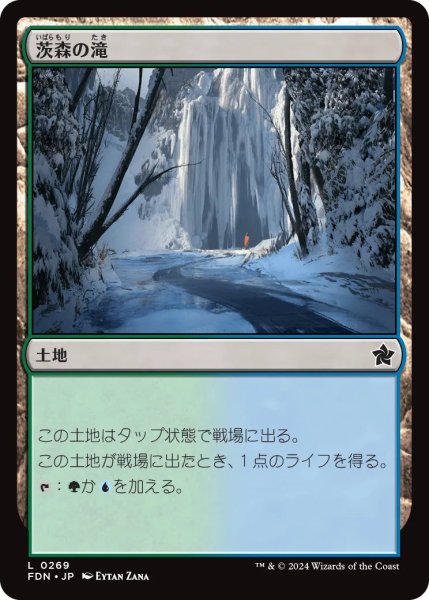 画像1: 茨森の滝/Thornwood Falls【土地C】〈0269〉 (1)