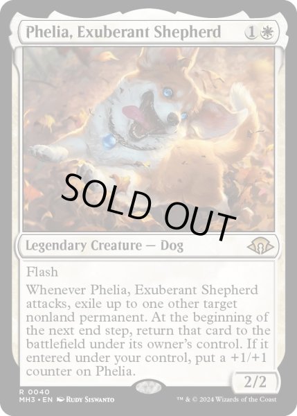 画像1: 溌剌の牧羊犬、フィリア/Phelia,ExuberantShepherd【白R】〈0040〉 (1)