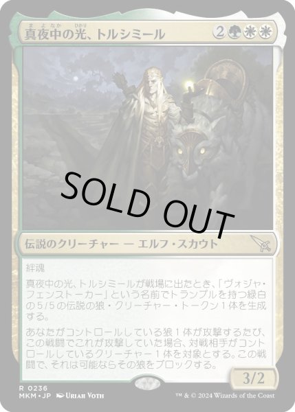 画像1: 真夜中の光、トルシミール/Tolsimir,Midnight'sLight【金R】〈0236〉 (1)