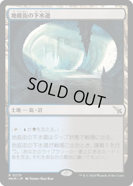 画像1: 地底街の下水道/UndercitySewers【土地R】〈0270〉 (1)