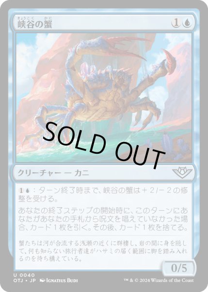 画像1: 峡谷の蟹/CanyonCrab【青U】〈0040〉 (1)