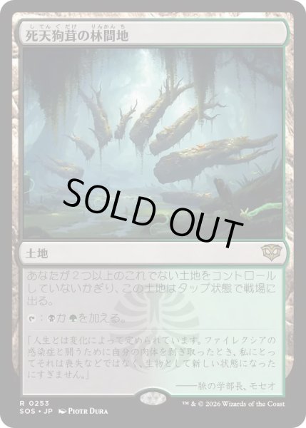 画像1: 死天狗茸の林間地/Deathcap Glade【土地R】〈0253〉 (1)