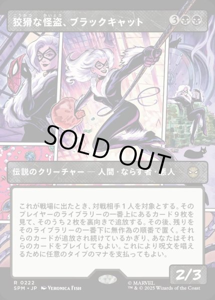 画像1: 狡猾な怪盗、ブラックキャット/Black Cat, Cunning Thief【黒R】〈0222〉 (1)