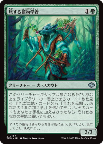 画像1: 旅する植物学者/TravelingBotanist【緑U】〈0164〉 (1)