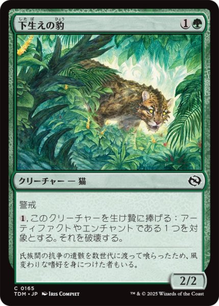 画像1: 下生えの豹/UndergrowthLeopard【緑C】〈0165〉 (1)