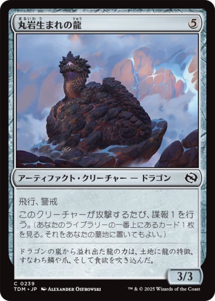 画像1: 丸岩生まれの龍/BoulderbornDragon【茶C】〈0239〉 (1)