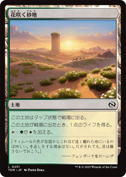 画像1: 花咲く砂地/BlossomingSands【土地C】〈0251〉 (1)