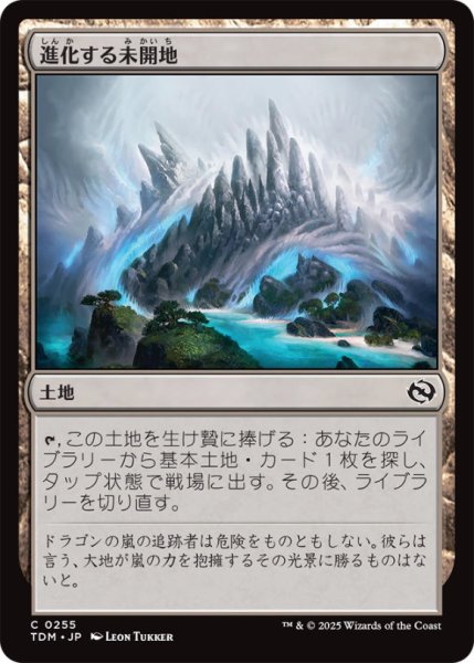 画像1: 進化する未開地/EvolvingWilds【土地C】〈0255〉 (1)