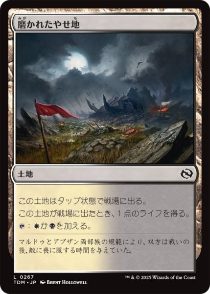 画像1: 磨かれたやせ地/ScouredBarrens【土地C】〈0267〉 (1)