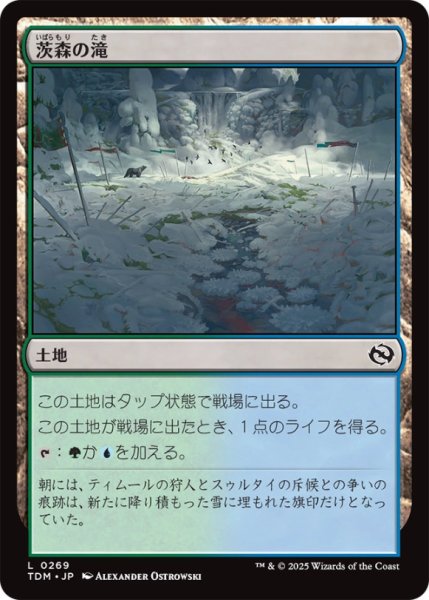 画像1: 茨森の滝/ThornwoodFalls【土地C】〈0269〉 (1)