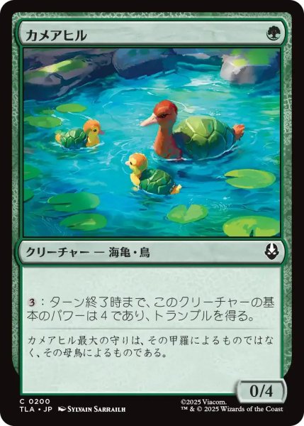 画像1: カメアヒル/Turtle-Duck 【緑C】〈0200〉 (1)