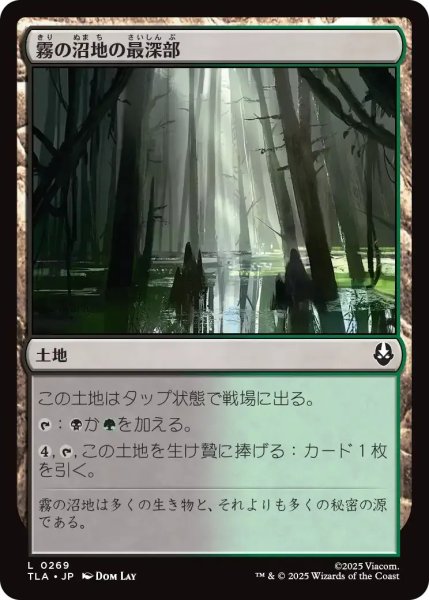 画像1: 霧の沼地の最深部/Foggy Bottom Swamp 【土地C】〈0269〉 (1)