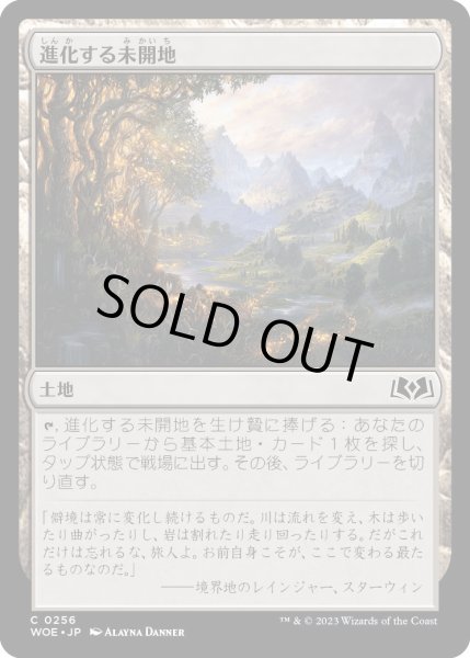 画像1: 進化する未開地/EvolvingWilds【土地C】〈0256〉 (1)